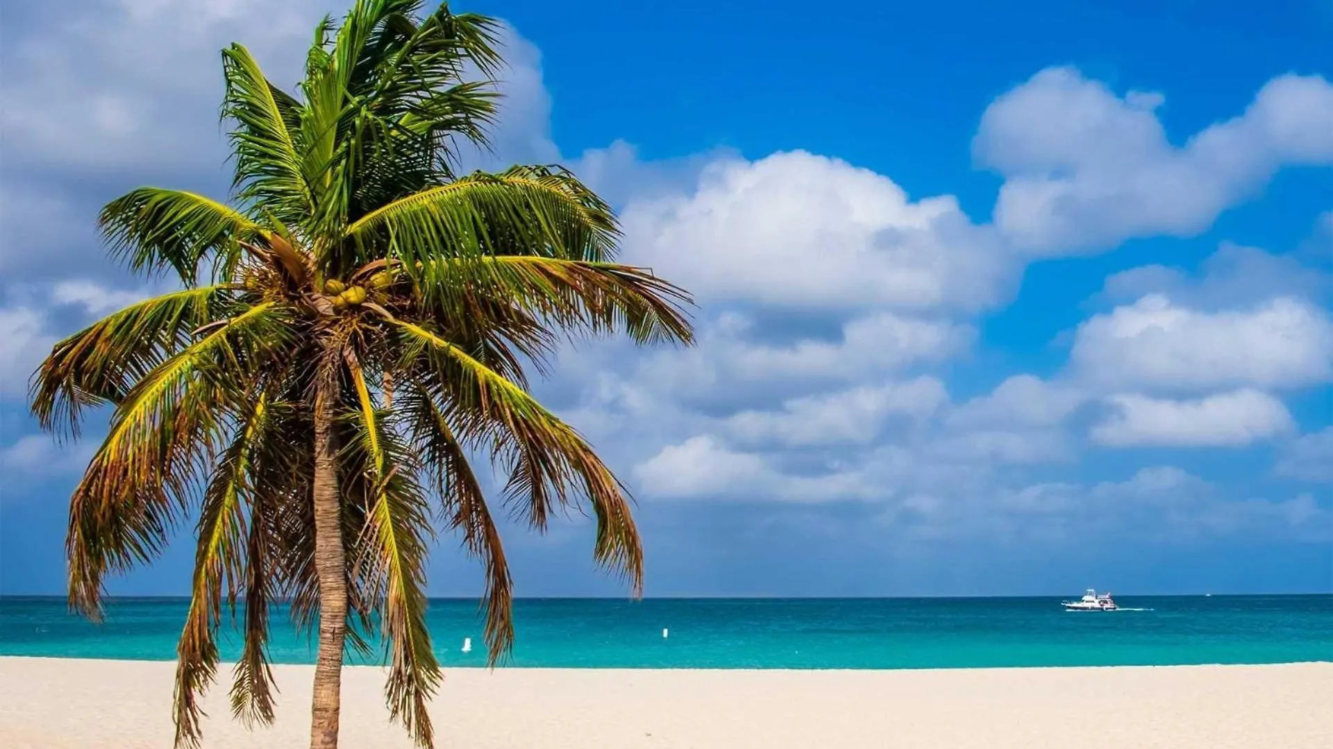 Beach View - Beach Royale 2Br Condo - Lv406 Palm Beach 0*,  Aruba