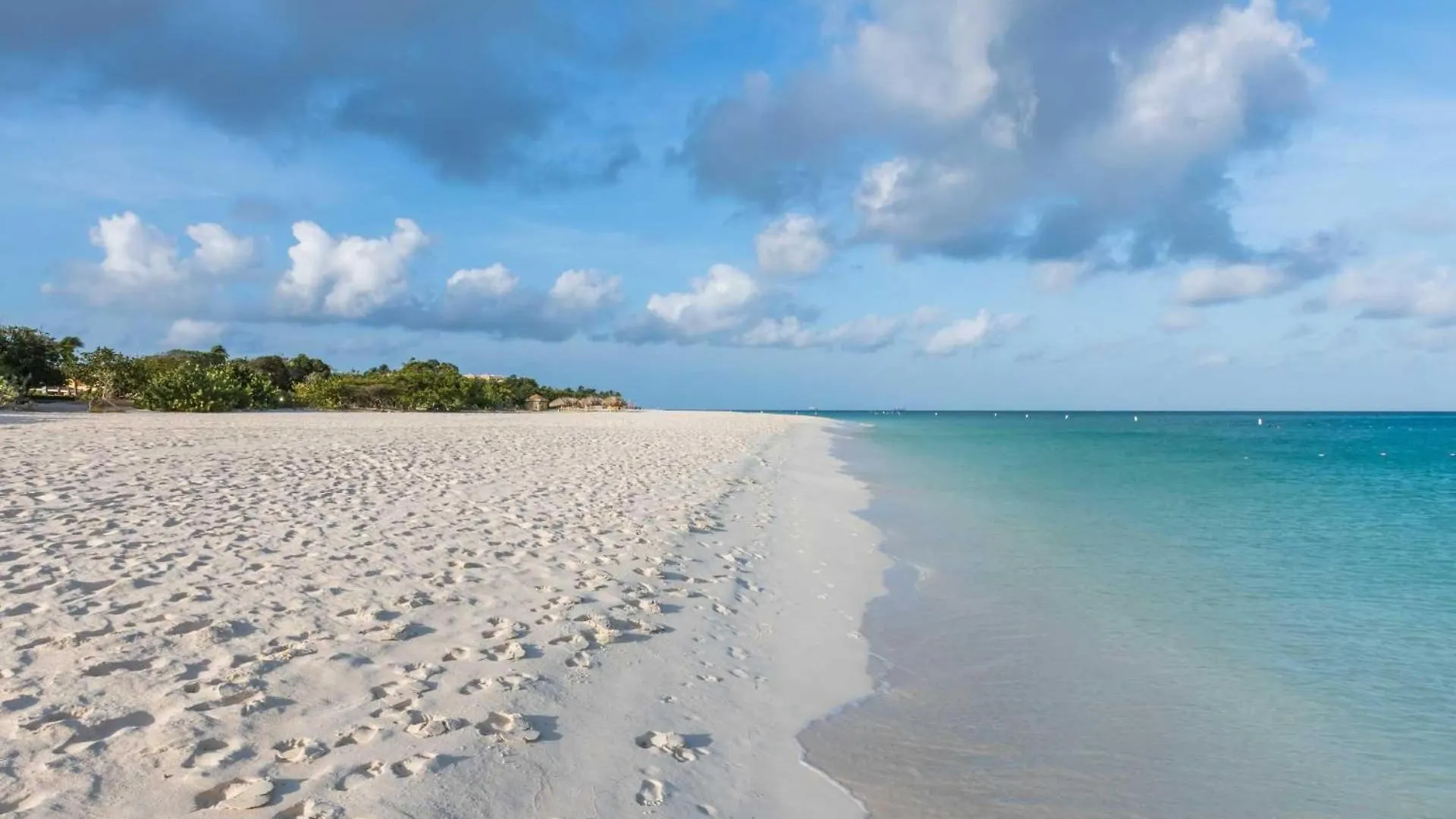 Prázdninový dům Beach View - Beach Royale 2Br Condo - Lv406 Palm Beach Aruba